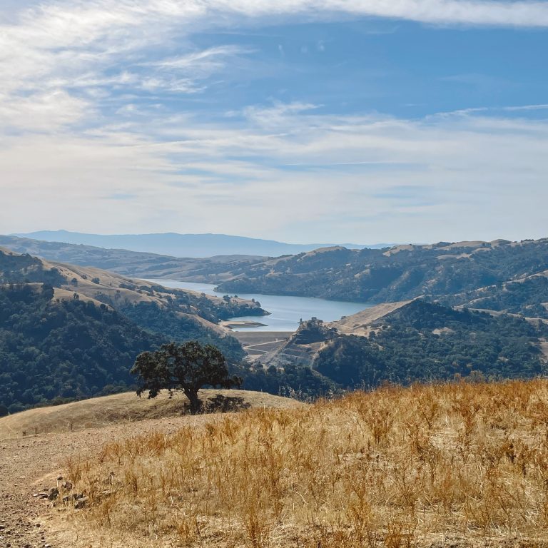 Overlooking Calaveras Reservoir in Sunol.