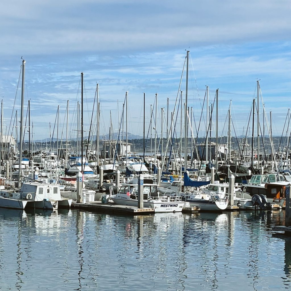 Sail boats docked in the Monterey harbor