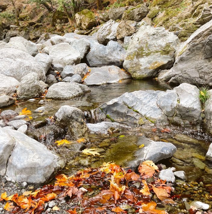 Little Yosemite water and fall leaves.