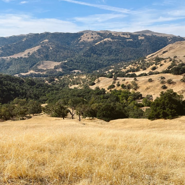 Views along the Indian Creek Trail in Sunol.