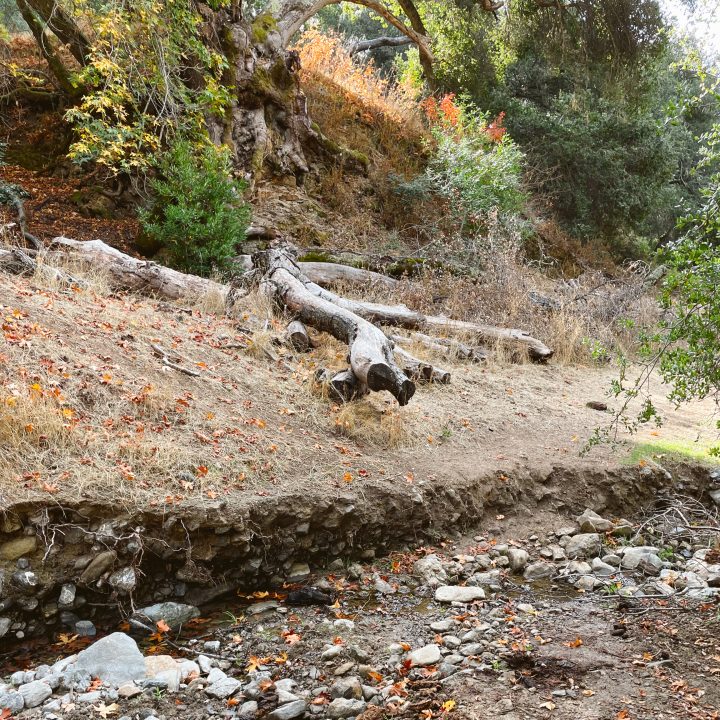 Indian Joe Creek bed on the Little Yosemite hike.