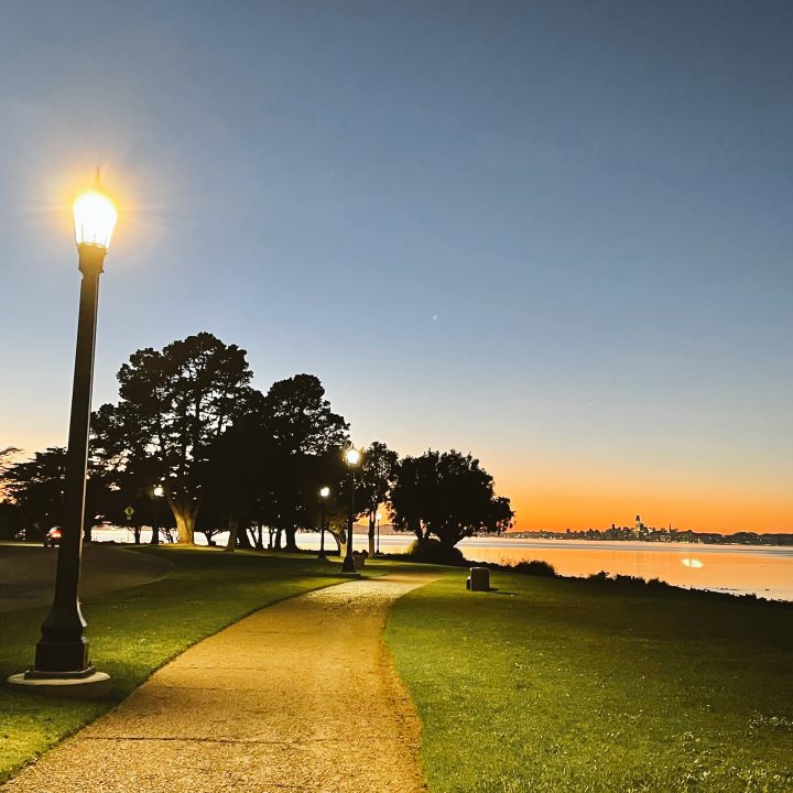 Harbor Bay Island trail at night