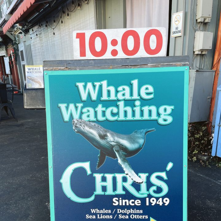A sign for Chris's Whale Watching Tour