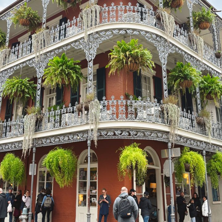 Ferns hanging from a building in the French Quarter in New Orleans