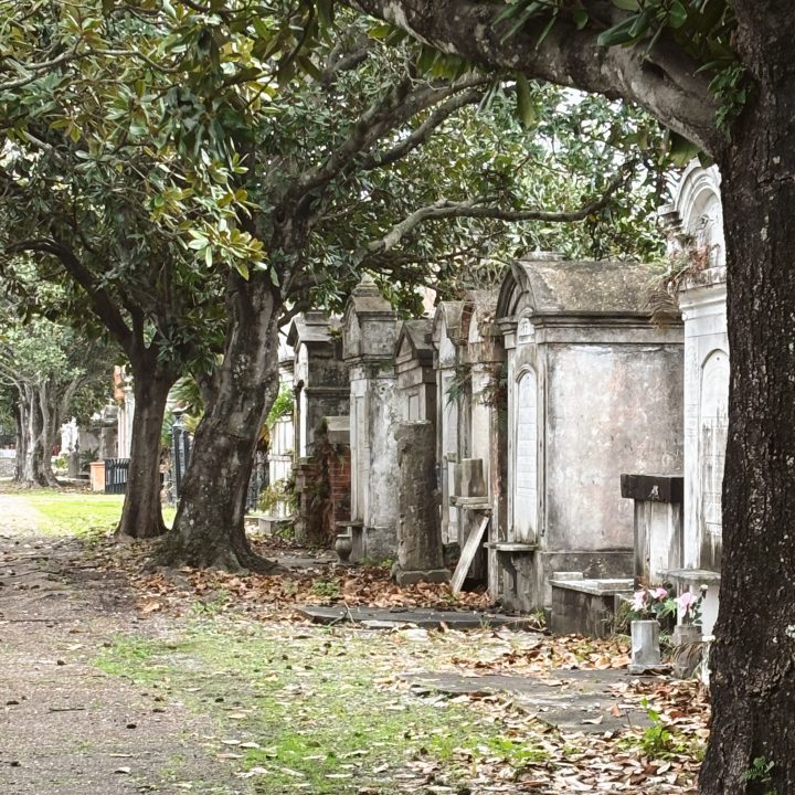 Lafayette Cemetery in New Orlenas