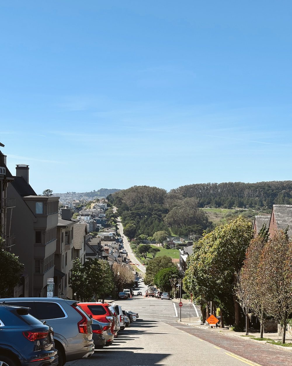A view of San Francisco hills from Pacific Heights