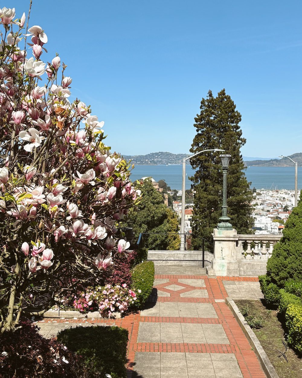A view of the San Francisco Bay from Pacific Heights