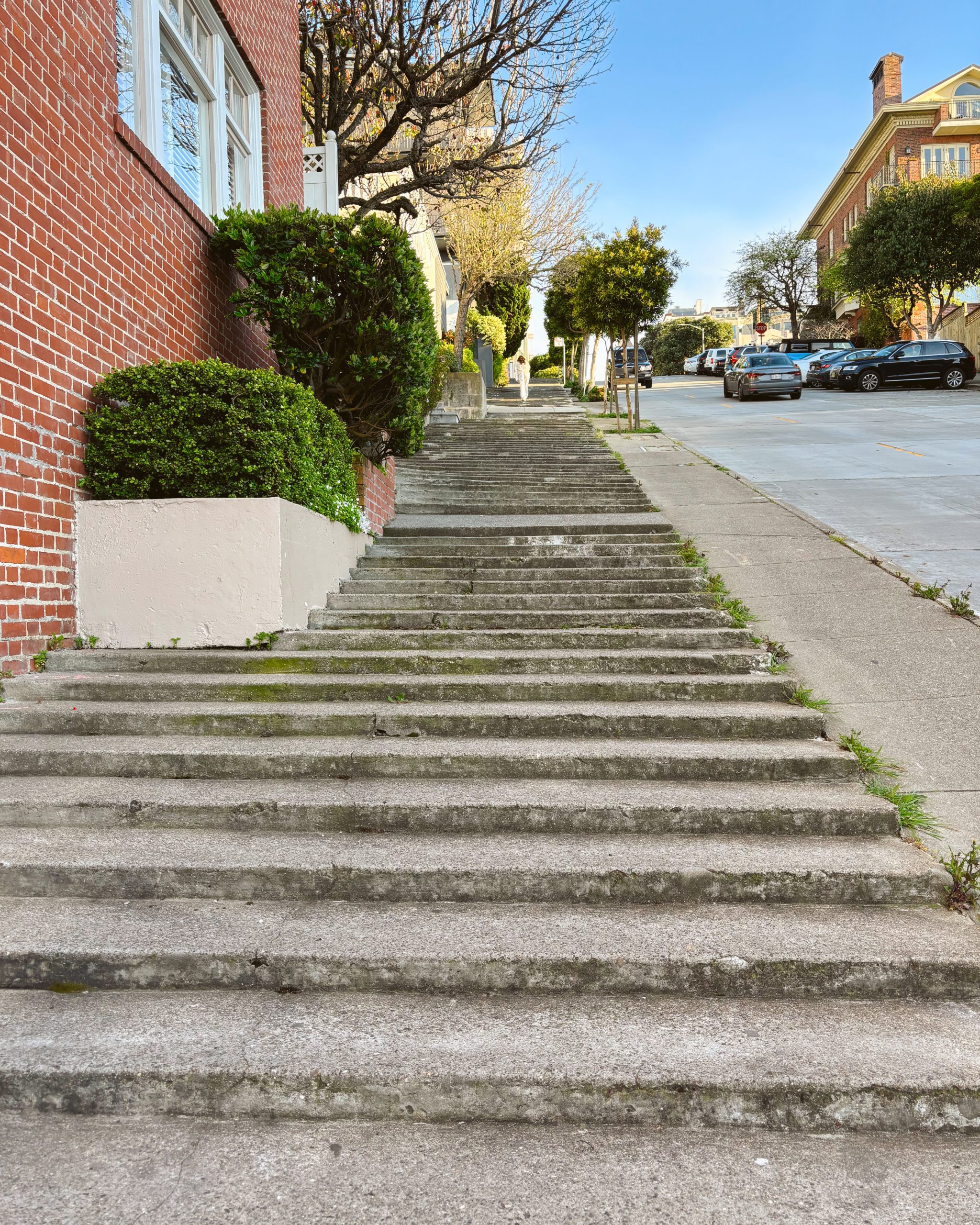 The Fillmore Street Steps leading up to Pacific Heights in San Francisco