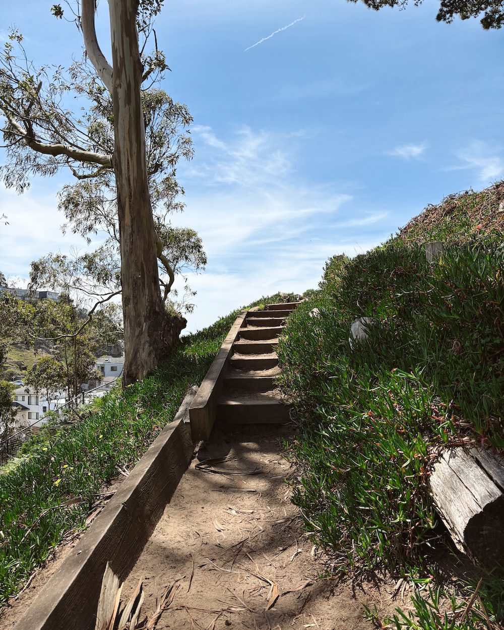 Some of the wooden steps in Grandview Park which has one of the hidden staircases in San Francisco