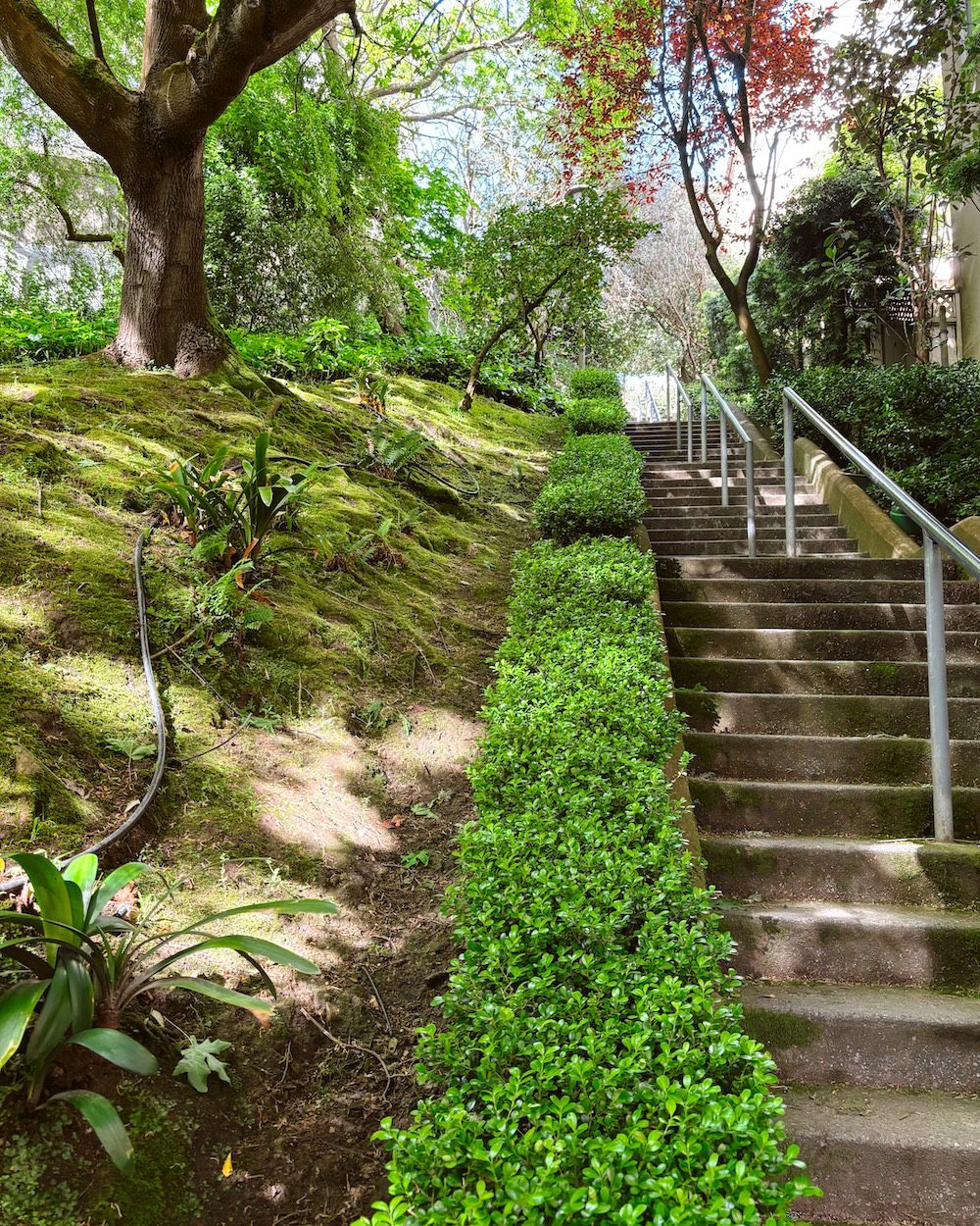 Along the Macondray Lane Stairs in Russian Hill in San Francisco