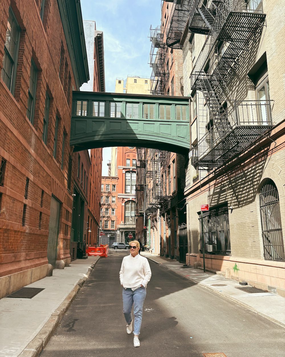 Carrie Green-Zinn under the Staple Street Skybridge in Tribeca, NYC