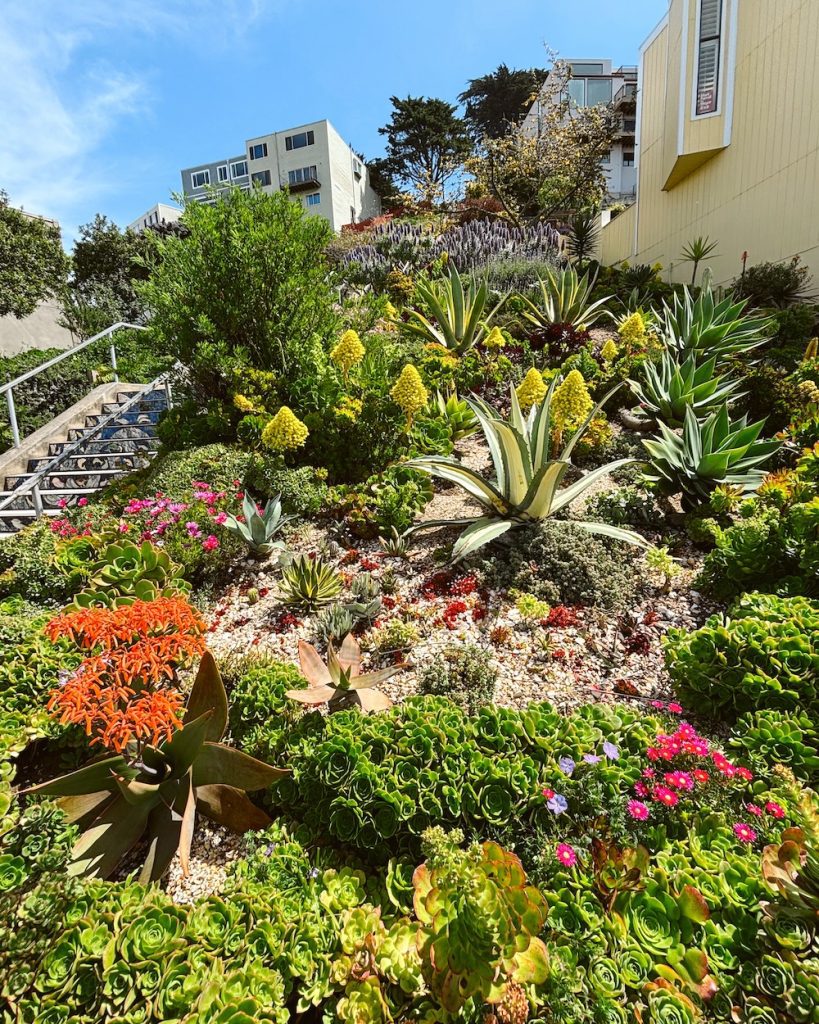 The gardens along the 16th Aveunue Tiled Steps, one of the top mosaic stairs in San Francisco
