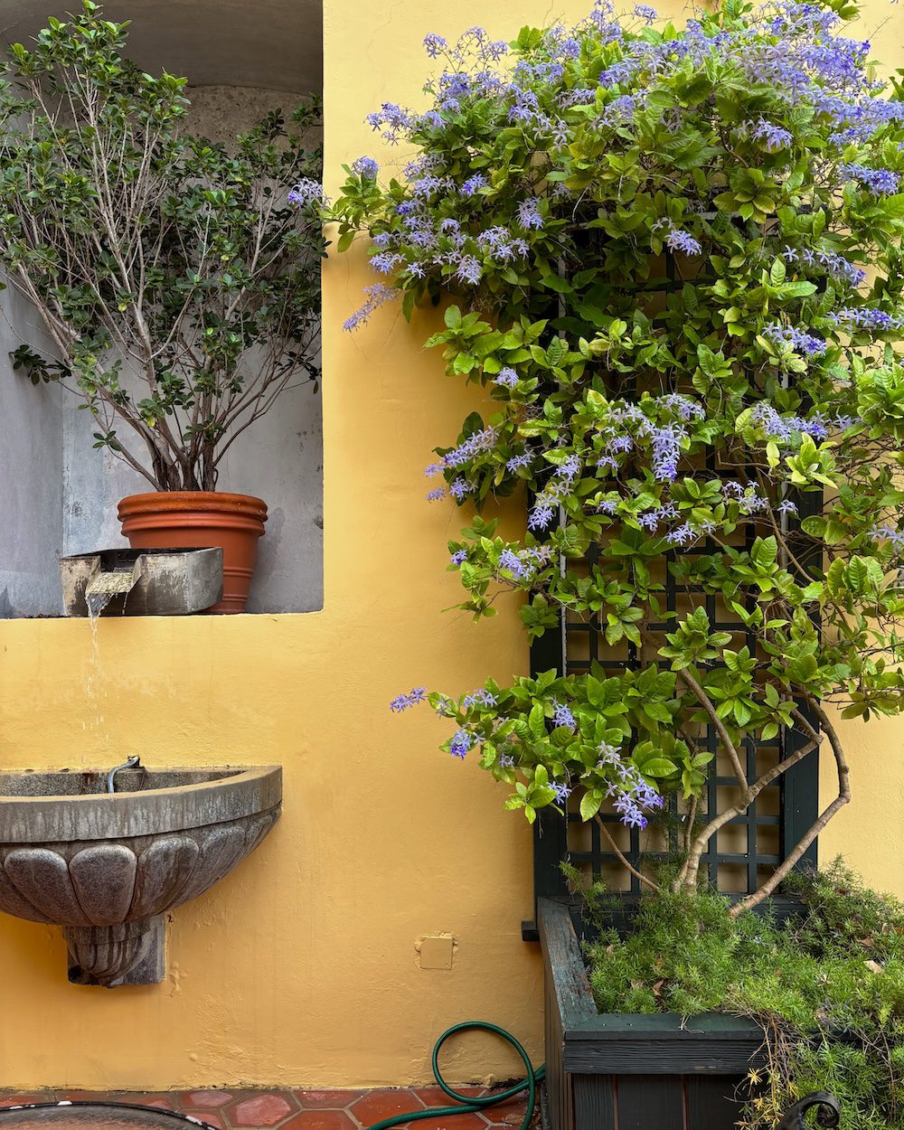 Hotel El Convento patio in Old San Juan