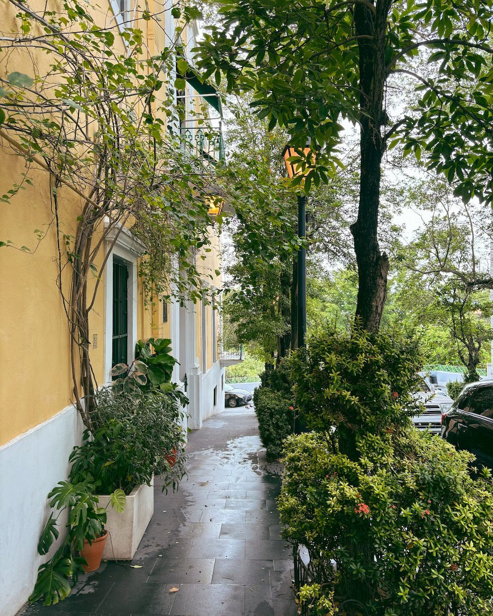 A yellow building with lush greenery on a street overlooking the water in Old San Juan