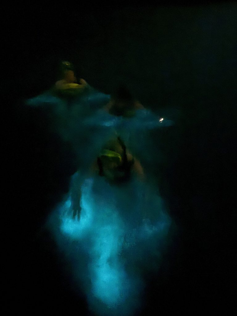 Swimming in the Puerto Rico Bio Bay of La Parguera