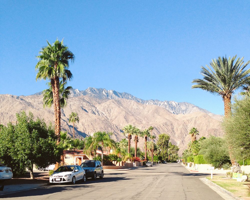 A street scene in Palm Springs with palm trees and the mountains in the distance. 
