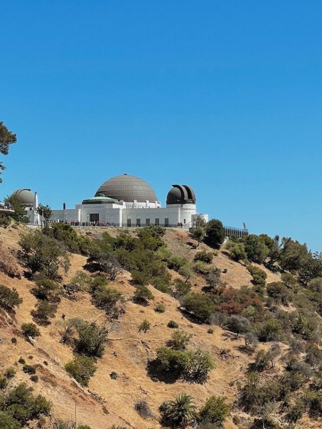 A view of the Griffith Observatory in Griffith Park in Los Angeles