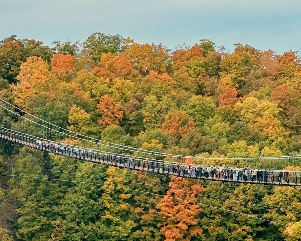 A view of the fall foliage and the Boyne Mountain SkyBridge