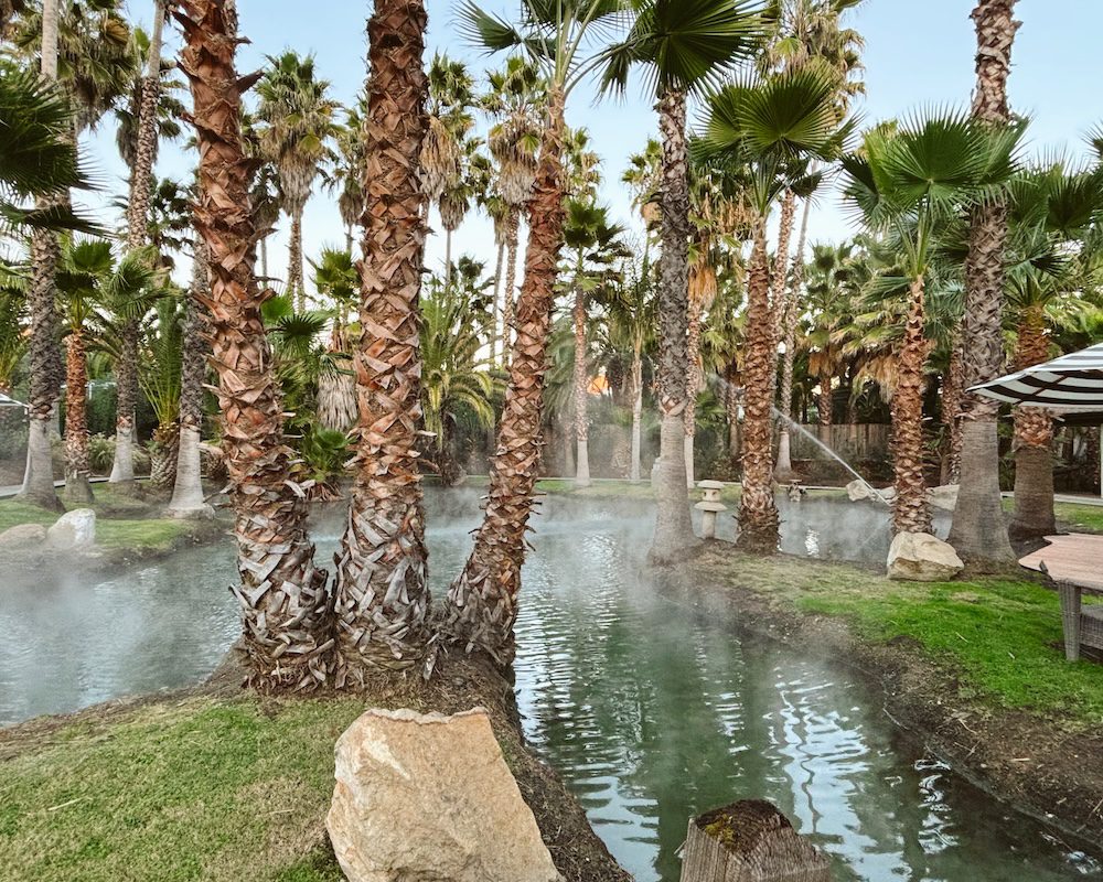 The back gardens of Indian Springs Spa in Calistoga, California is a great way to spend a day trip from San Francisco