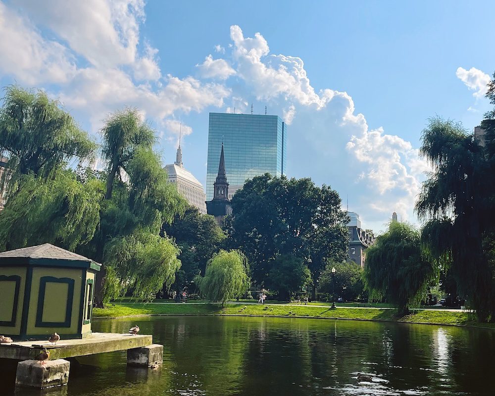 A view of the duck pond in Boston Commons overlooking the downtown buildings.