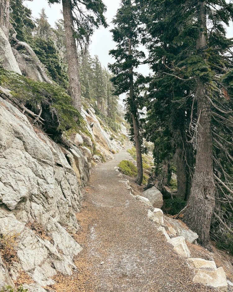 A view of a narrow trail in Lassen Volcanic National Park, California