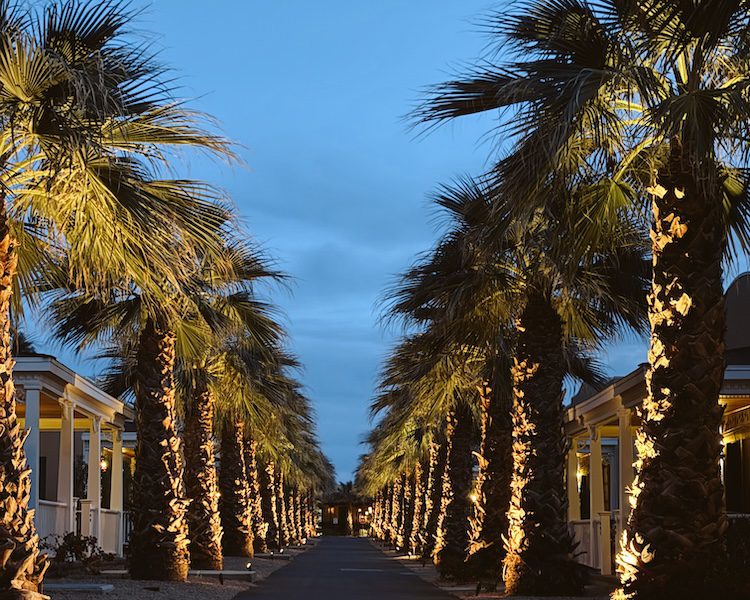 A view of the cottages at The Oasis Ranch in Death Valley National Park in the evening with palm trees and lights and the night sky.