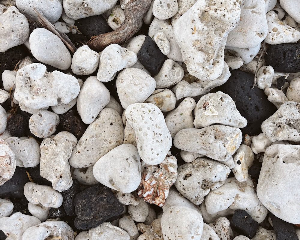 Coral and Volcanic Rock in Maui
