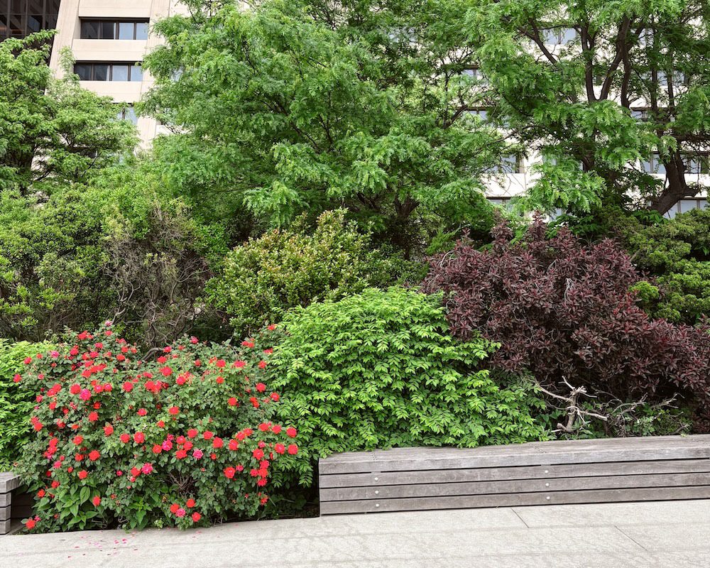 Some of the lush gardens atop the Elevated Acre Park in Lower Manhattan.