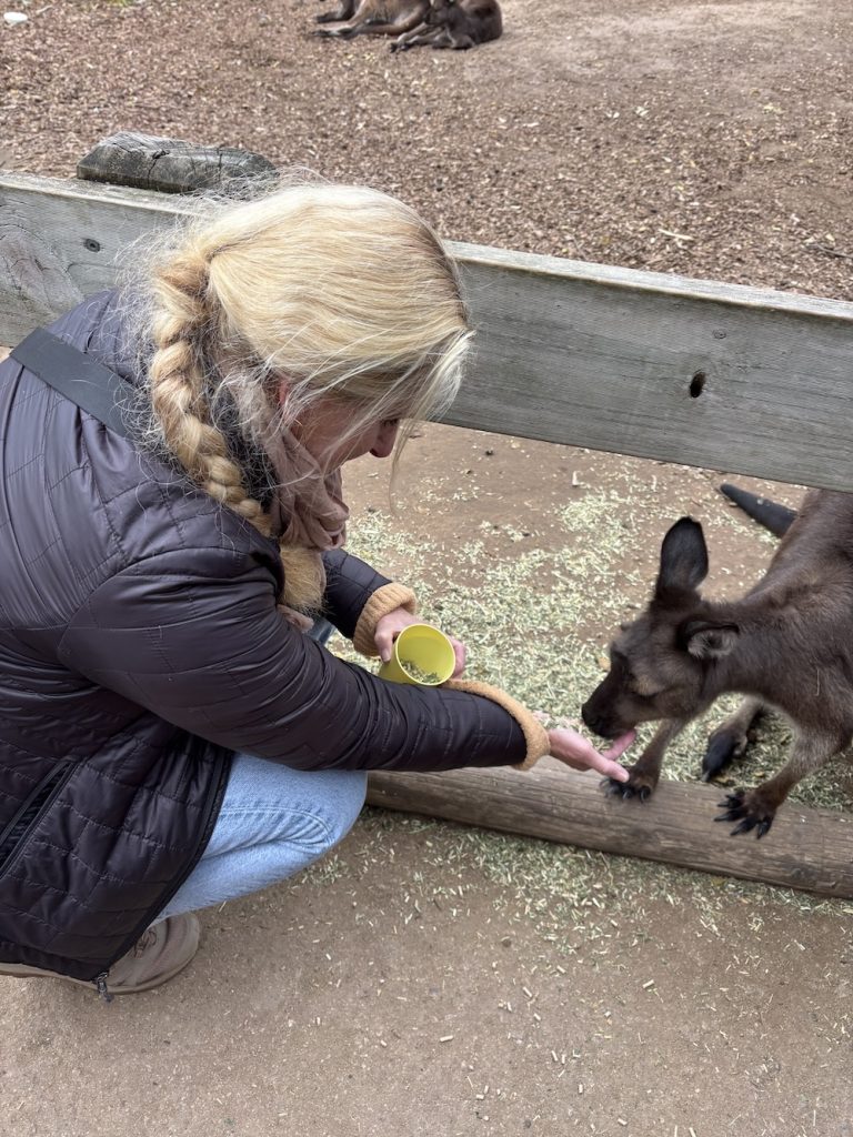 Carrie Green-Zinn feeding a kangaroo in Featherdale Wildlife Park