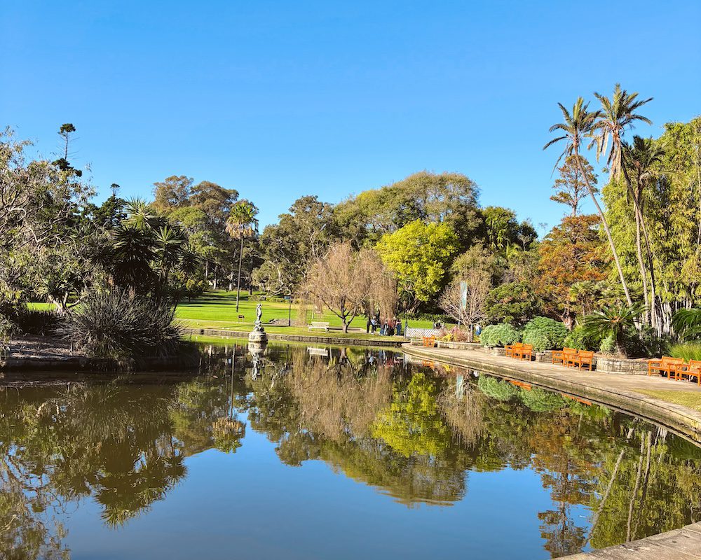 A view of the pond and gardens at The Royal Botanic Garden in Sydney