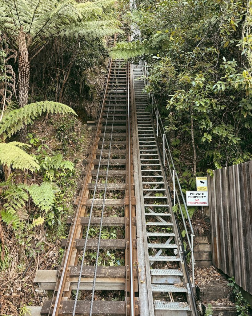 The Scenic Railway view from the Scenic Walkway