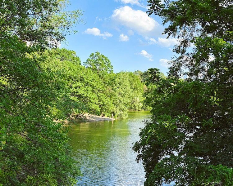 A view of the lake in Central Park.