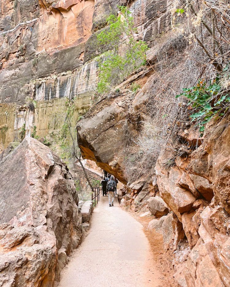 The Riverside Walk Trail in Zion National Park
