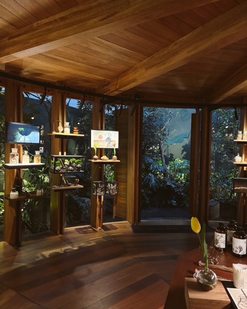 The perfumery Xinu in Mexico City